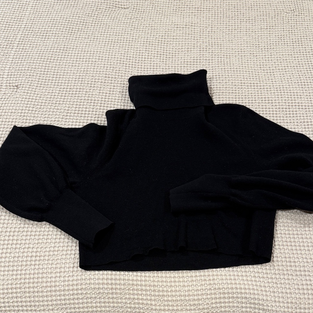 Aritzia Black Turtle Neck Sweater